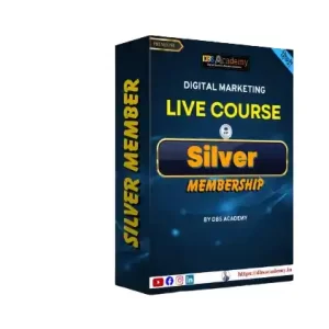 Digital Marketing Silvermembers Ship Course